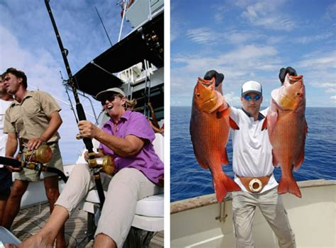 Amazing Views Adventure 的图像结果