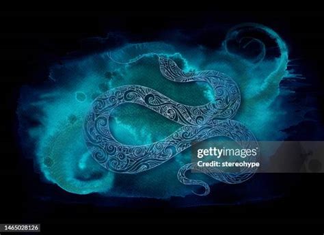 Image result for Python Icon Black Background