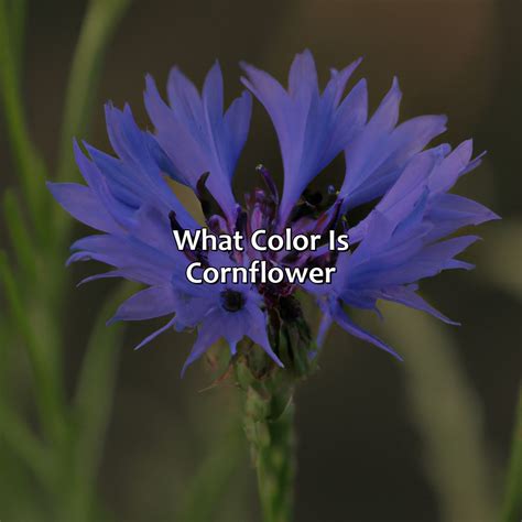 What Color Is Iron - colorscombo.com