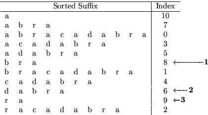 Suffix Array Search 的图像结果