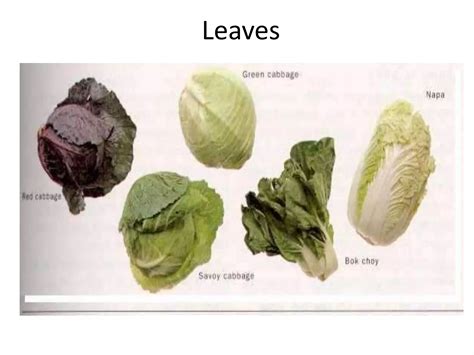 Vegetables Classification 的图像结果