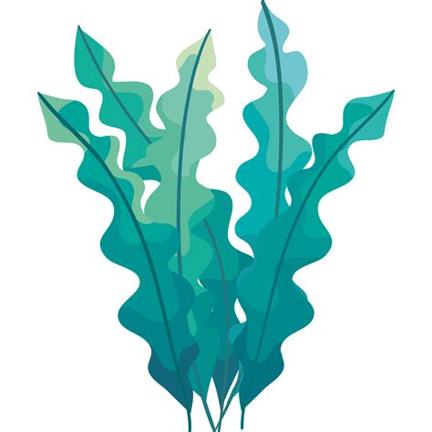 green seaweed plant 24090394 PNG