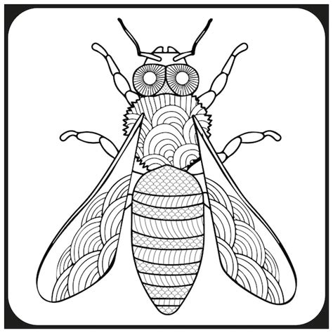 Libro da colorare libellula per adulti | Vettore Premium