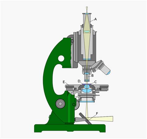Image result for Refraction of Light in Microscope Images
