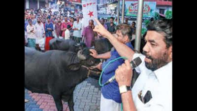 Beef Ban: Will seek legislative options to bypass ban, says Kodiyeri ...