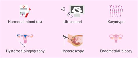 Image result for Fertility Panel Test