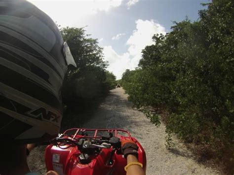 We Tree Group - ATV Tours (Great Exuma) - All You Need to Know BEFORE ...