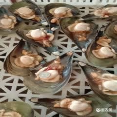 [带子批发]海鲜半壳带子冷冻贝类绿贝带子烧烤水产江瑶价格1.5元/个 - 惠农网