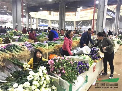 西北地区首个花卉拍卖交易中心开拍 重庆风景园林网 重庆市风景园林学会