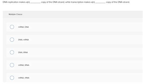 Image result for DNA Replication Multiple Choice Questions