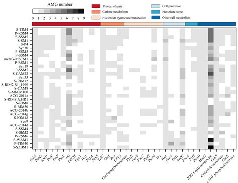 Isolation and Characterization of a Novel Cyanophage Encoding Multiple ...
