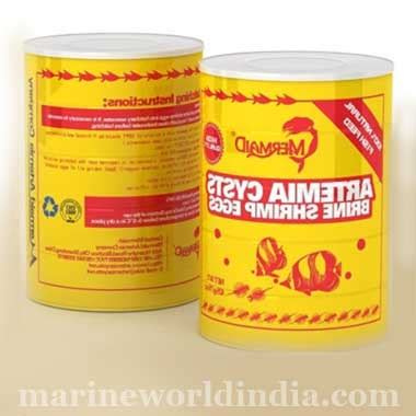 marine reef aquarium setup | salt water aquarium manufacturer ...