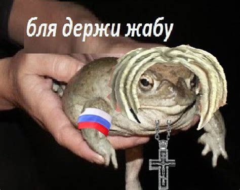 Image result for Toad Rage Meme