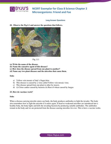 Image result for Class 8 Science Chapter 2