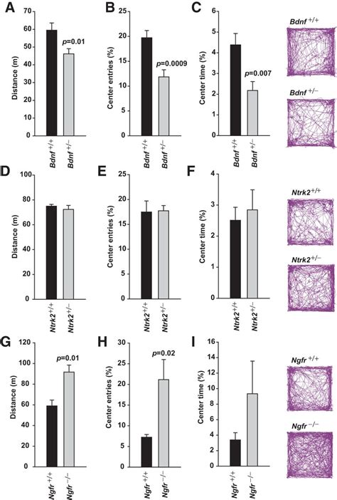 Image result for Bdmf Modulation