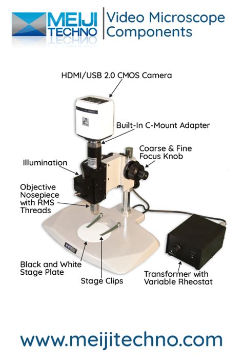 Microscope Terminology 的图像结果