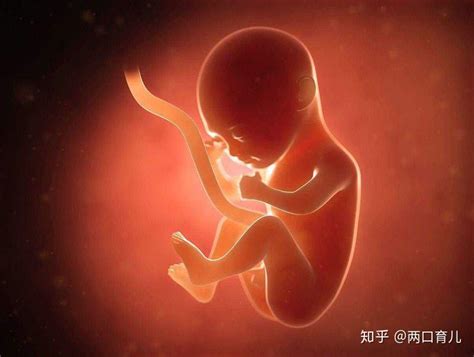胎儿宫内缺氧，孕妇多半有4个表现，事关胎宝安危，孕妈要注意