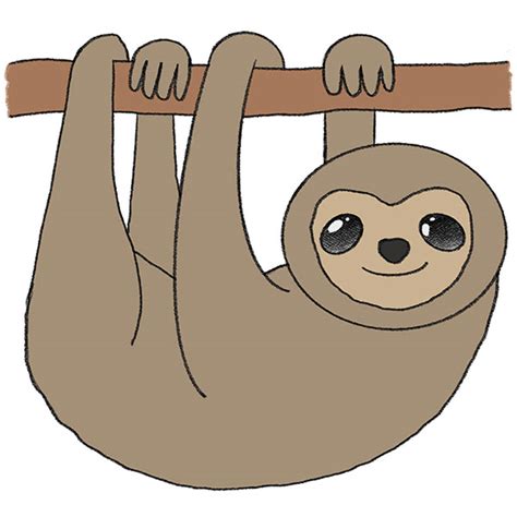 Image result for How to Draw a Two Toed Sloth