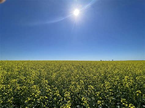 All Auction Sales | Pifer's Auction & Realty