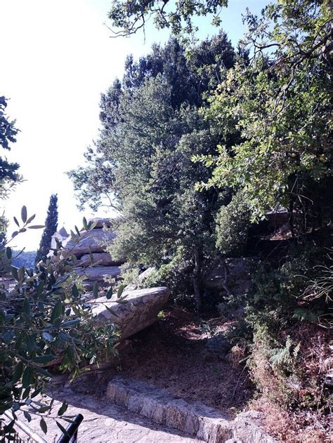 UTOPIA CUSCO STUDIOS (Evdhilos) - Apartment Reviews & Photos - Tripadvisor