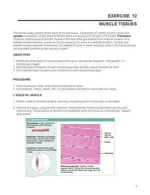 Image result for Complementarity of Structure and Function