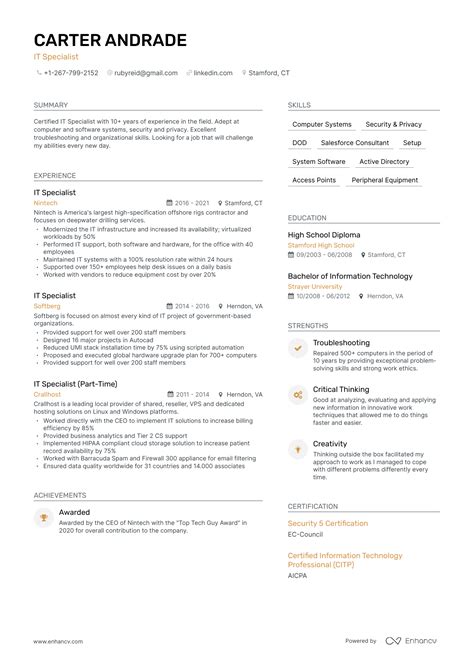 Resume Summary Examples Information Technology 的图像结果