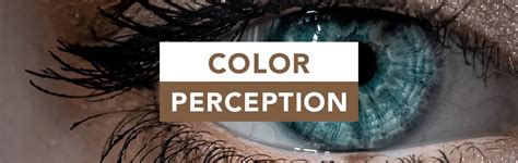 Image result for Color Perception Puzzle