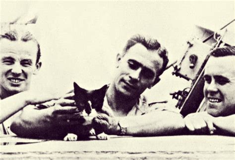 Cat Hero Simon, Only Feline to Receive Dickin Medal, Remembered | War ...