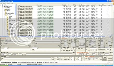 Image result for Bulk Rename Utility Regex.replace
