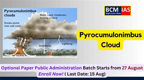 Image result for Pyrocbs