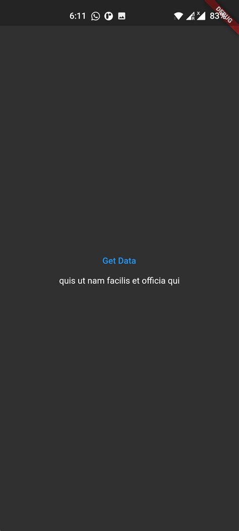 Flutter Get Data From API 的图像结果