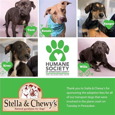 Humane Society of Sheboygan County on LinkedIn: #thankyou #transport # ...