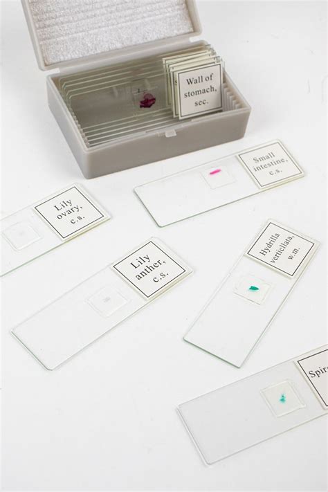 Compound Microscope Set 的图像结果