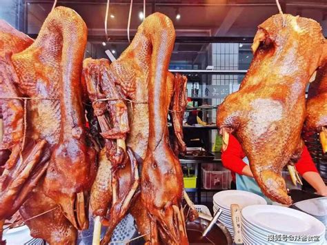鹅肉怎么做好吃又能把肉炖软？学学东北人的做法，鹅肉软烂入味还不腥 | 说明书网