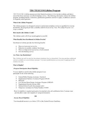 Fillable Online dhhs nh TDS TELECOMs Lifeline program provides ...