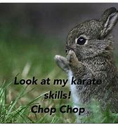 Image result for Cutest Rabbit in the World
