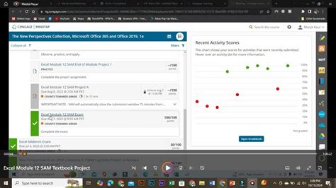 Image result for Excel Module 2 Sam Textbook Project