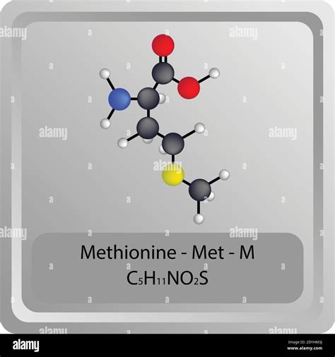 Amino Acid Structure Methionine at Ethan Fuhrman blog
