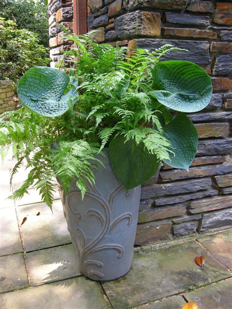 Shade Container Gardening Ideas