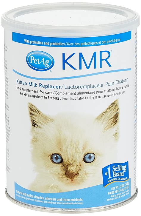 Can Kittens Eat Puppy Formula