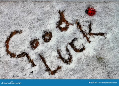 Good luck stock photo. Image of wite, luckycharm, winter - 80439674