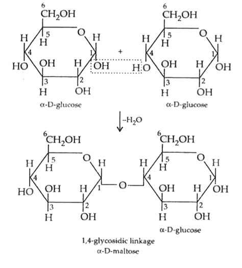 `alpha`-maltose consists of