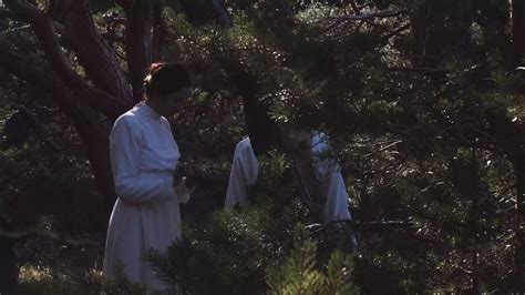 The Wild Duck - Filmadrid