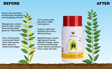 Utkarsh Double Combi - EDTA Chelated Mix - Calcium, Magnesium, Iron ...