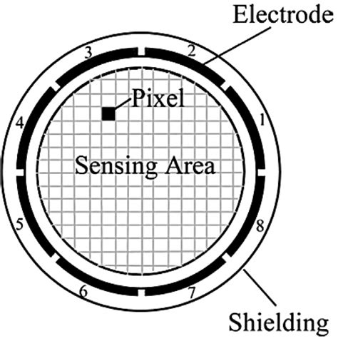Testing ECT Sensor 的图像结果