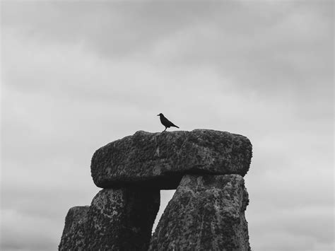 Morality Stock Pic 的图像结果