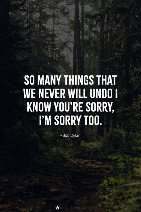 Im Sorry Quotes