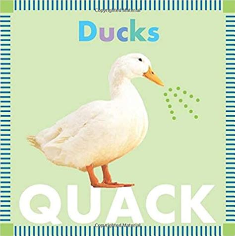 Ducks Quack Board Book