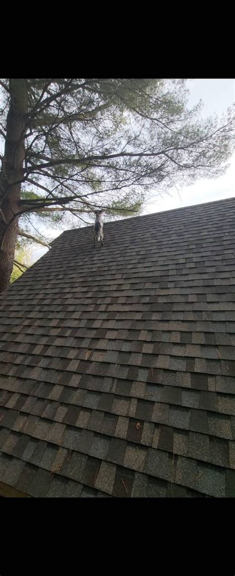 Recos for good experiential shops? Looking to do an activation/tech ...