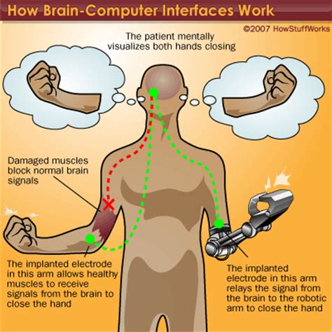 Image result for Brain-Computer Principle